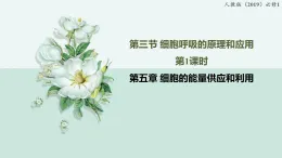 5.3細胞呼吸的原理和應(yīng)用-第1課時（教學(xué)課件）——高中生物學(xué)人教版（2019）必修一