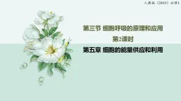 5.3細胞呼吸的原理和應(yīng)用-第2課時（教學(xué)課件）——高中生物學(xué)人教版（2019）必修一