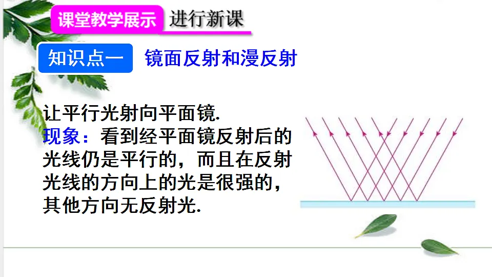 17293829第5页