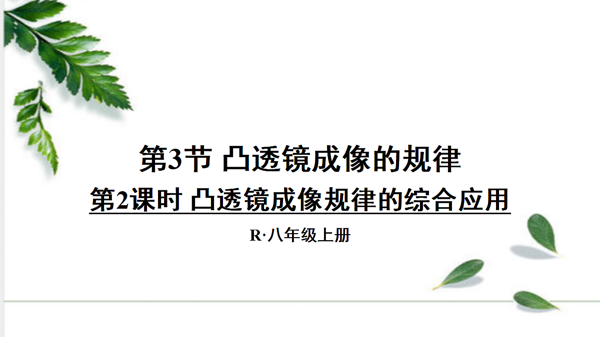 17293830第1页