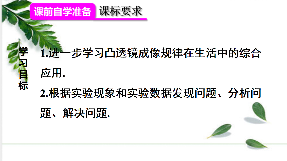 17293830第2页