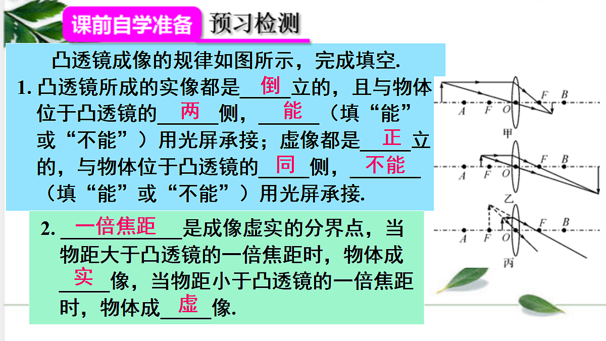 17293830第3页