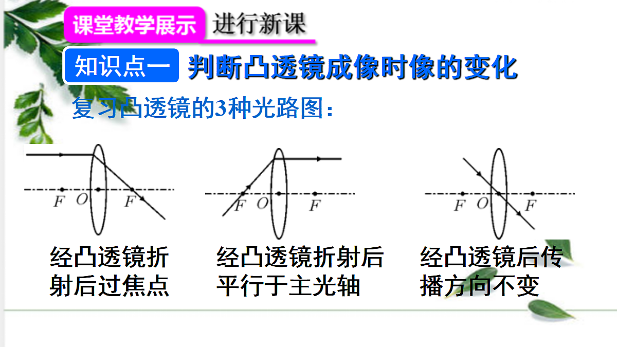 17293830第6页