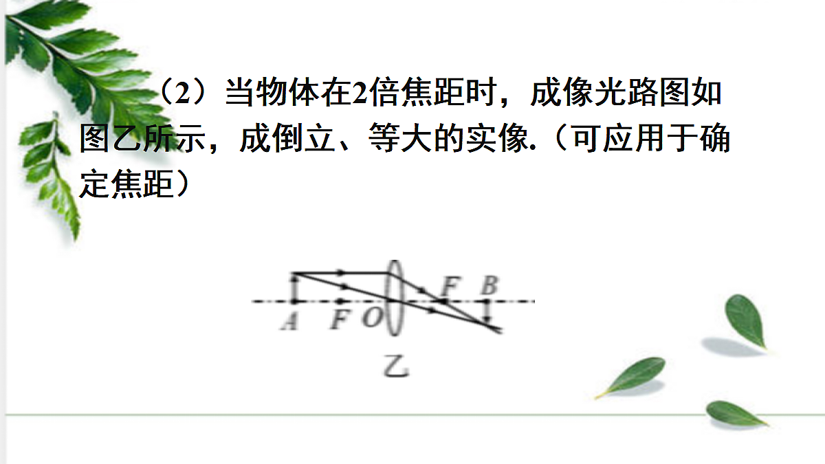 17293830第8页