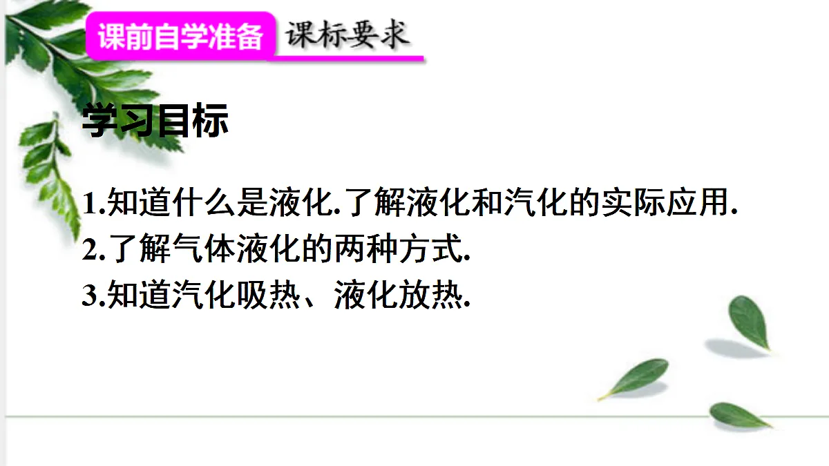 17293832第2页