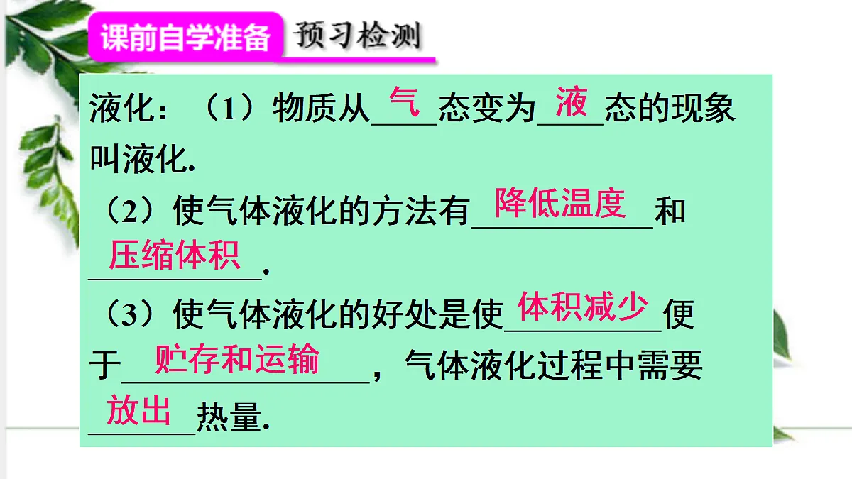 17293832第3页