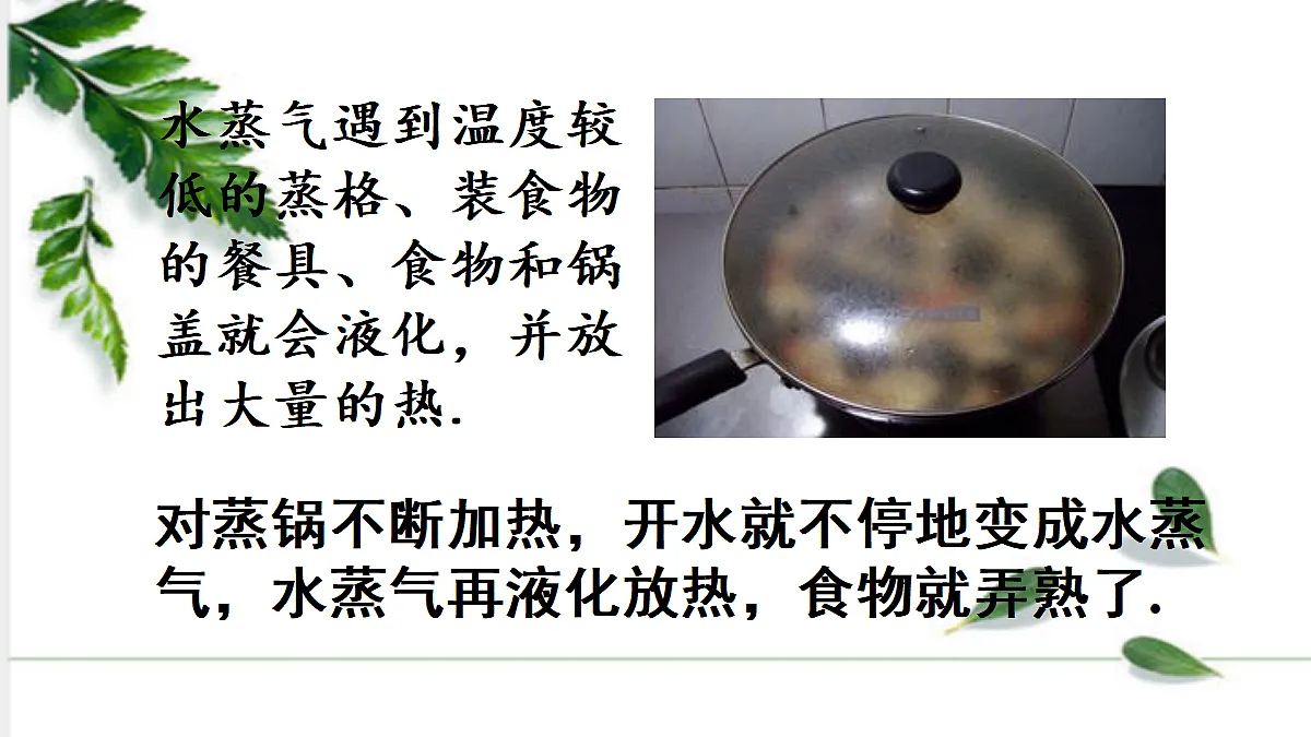 17293832第6页