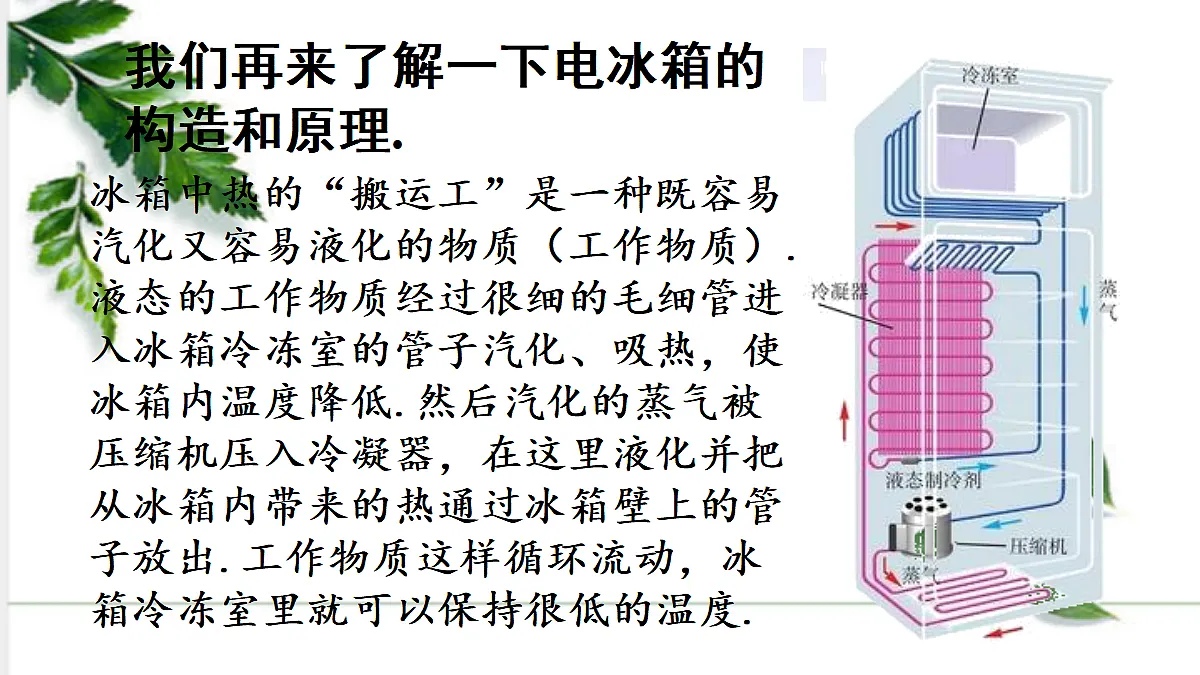 17293832第7页