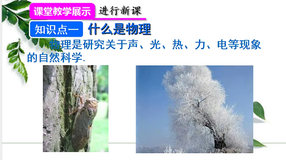 17293852第3页
