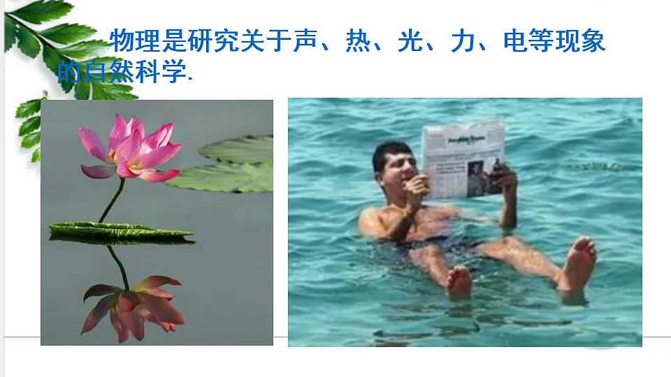 17293852第4页