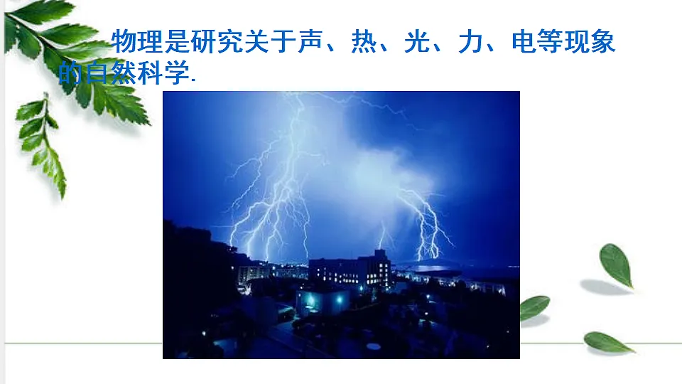 17293852第5页