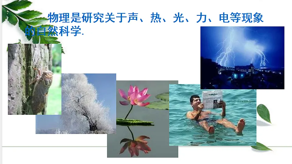 17293852第6页