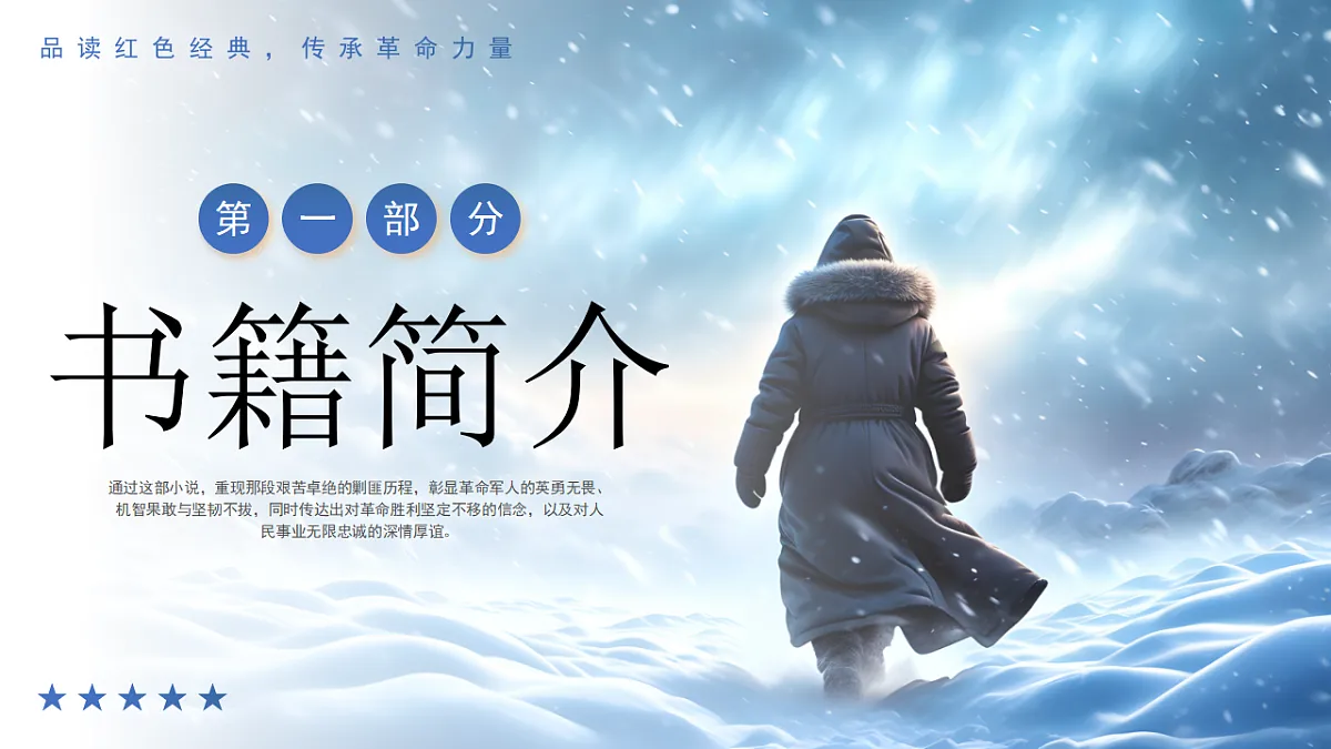 17294085第3页