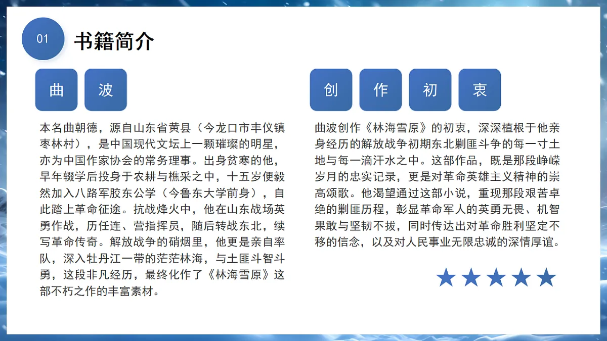 17294085第4页