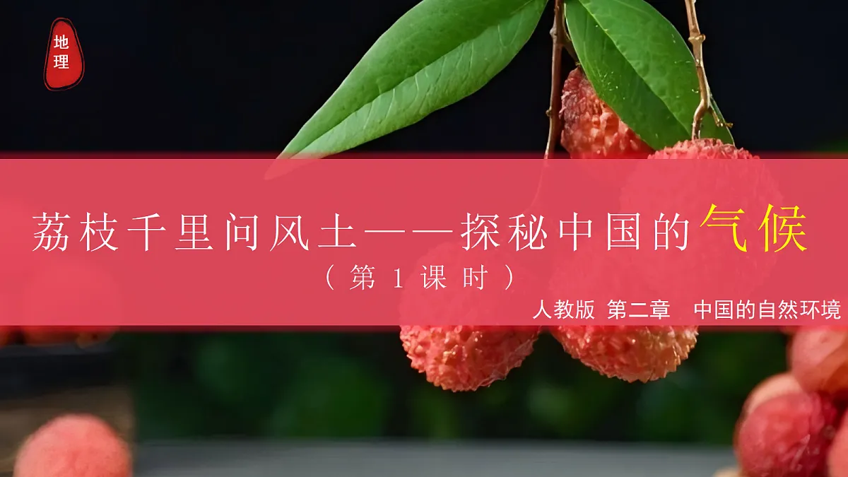 17294420第1页