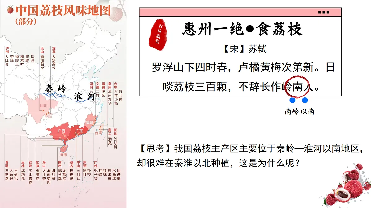 17294420第2页