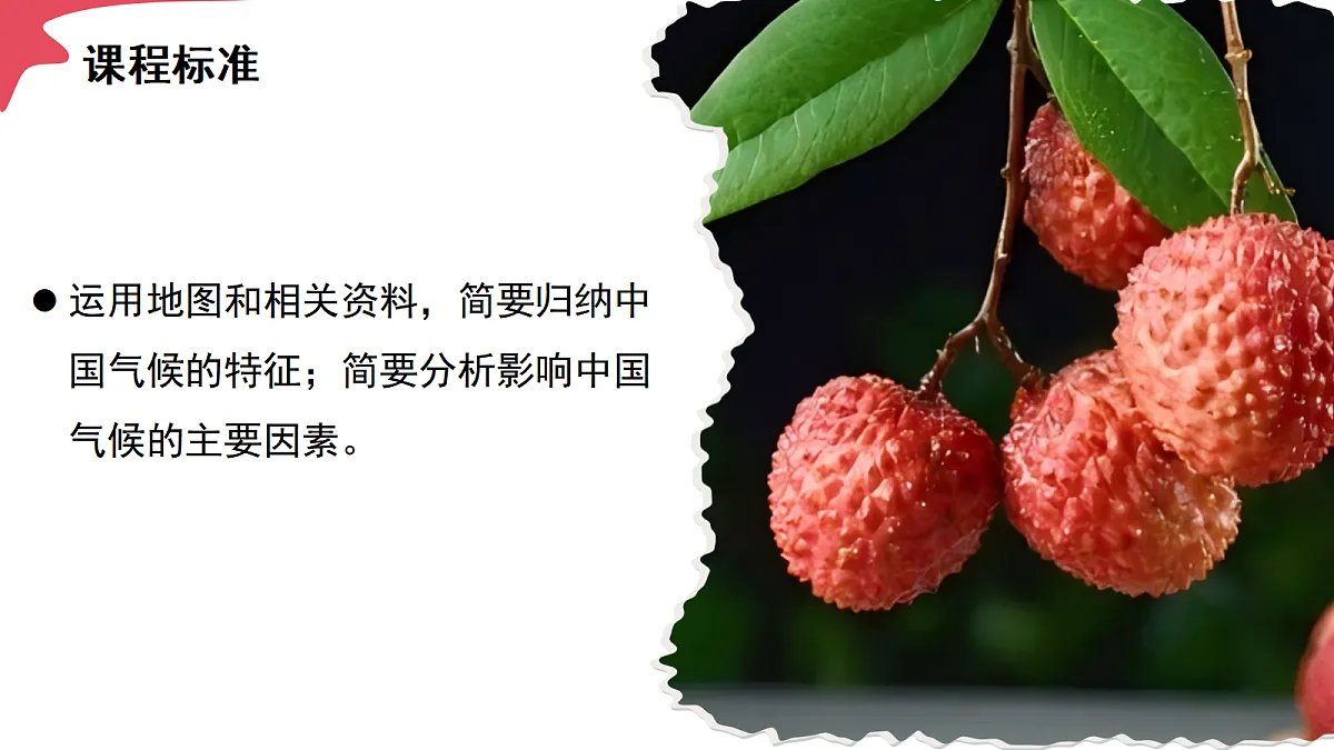 17294420第3页