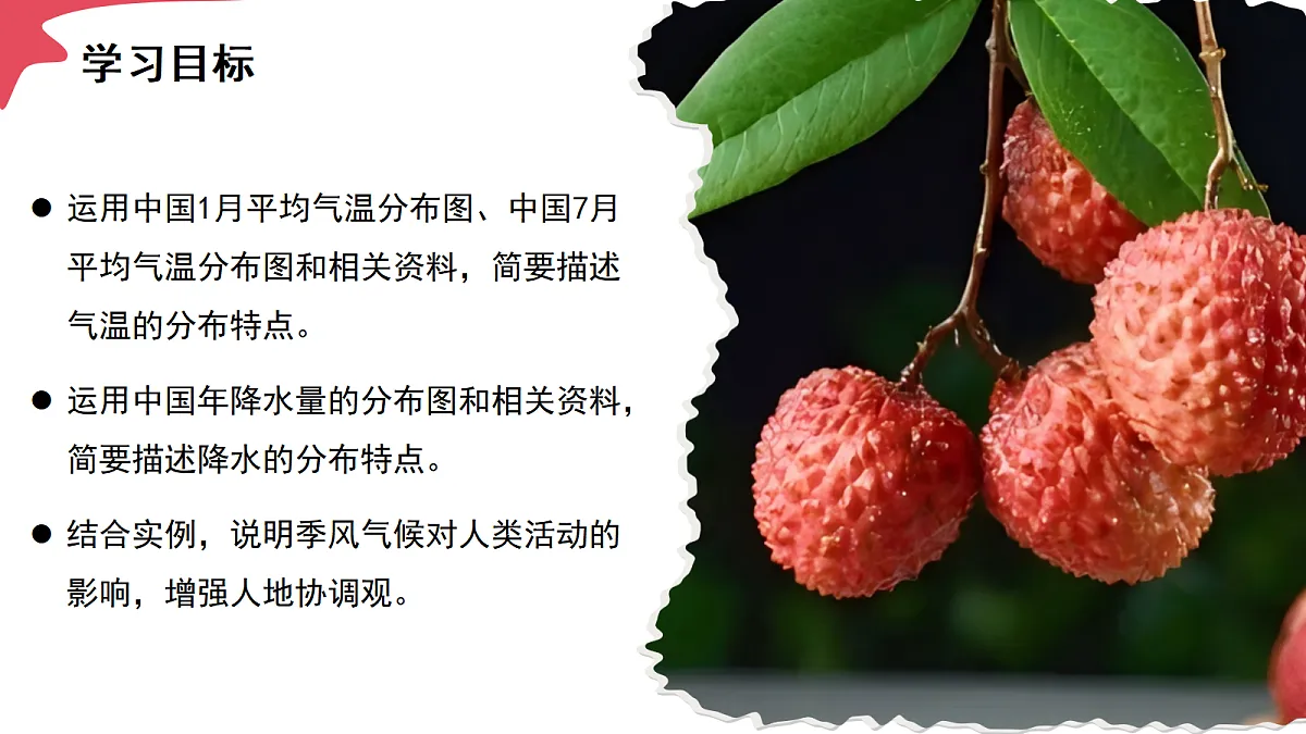 17294420第4页