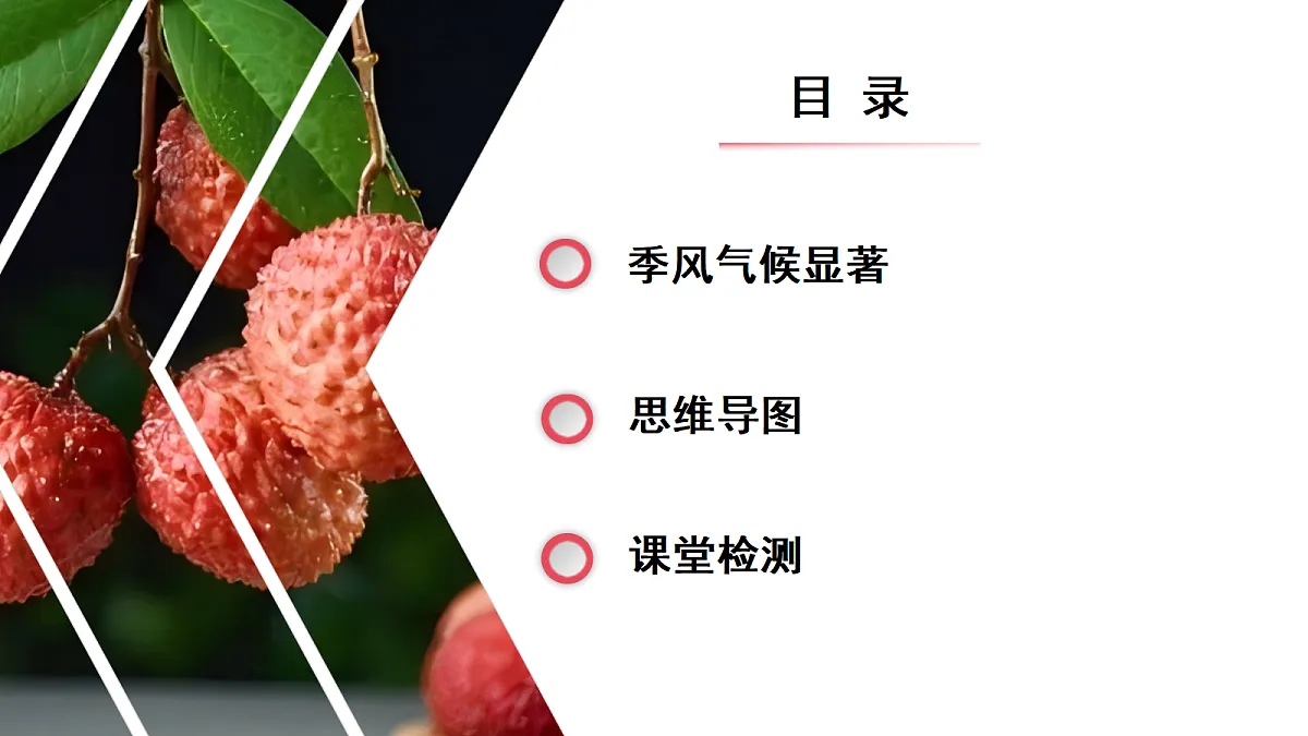 17294420第5页