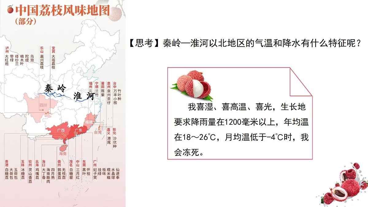 17294420第6页