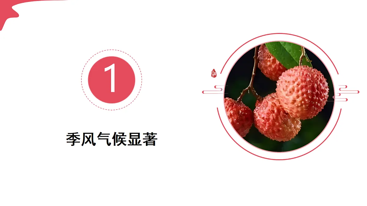 17294420第7页