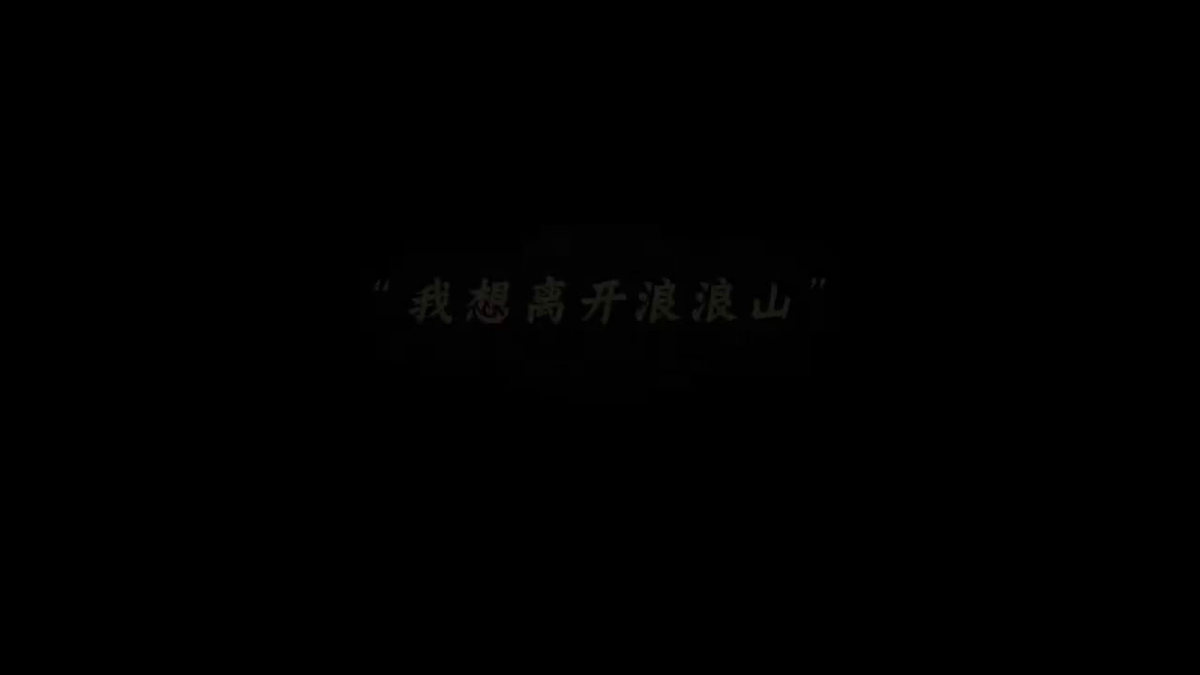 17294506第3页