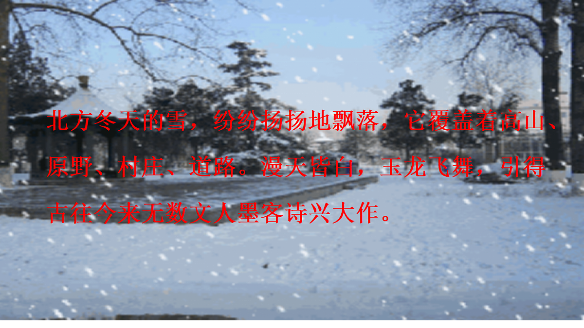 17294689第1页