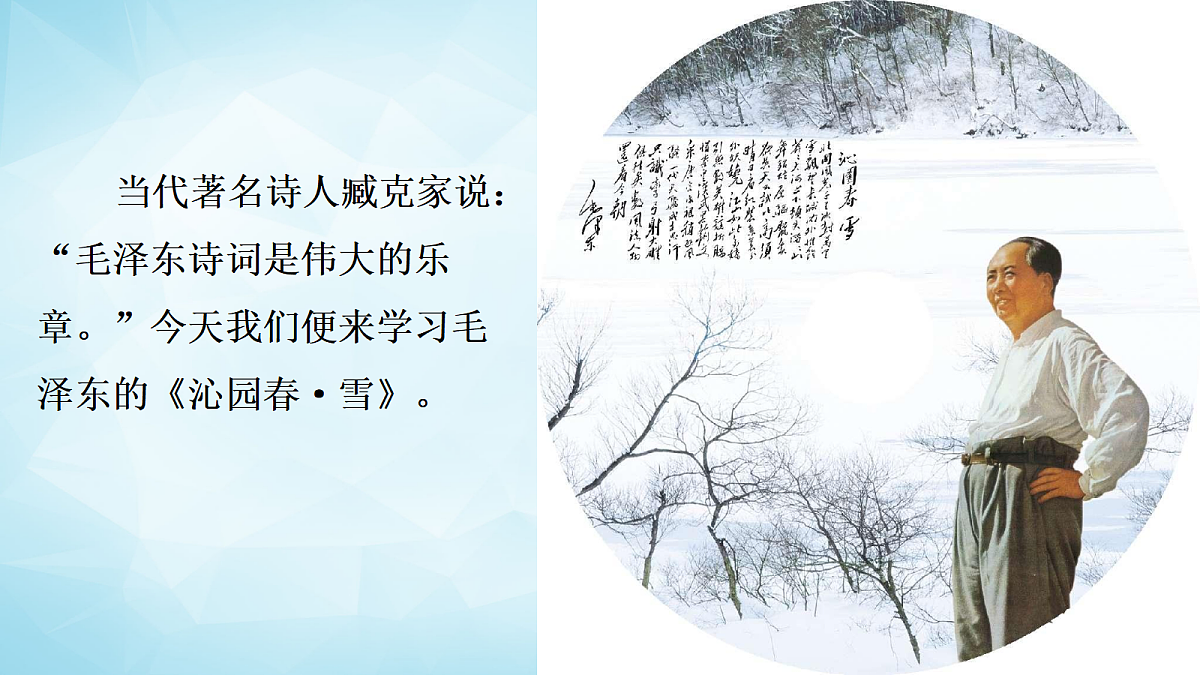 17294689第4页