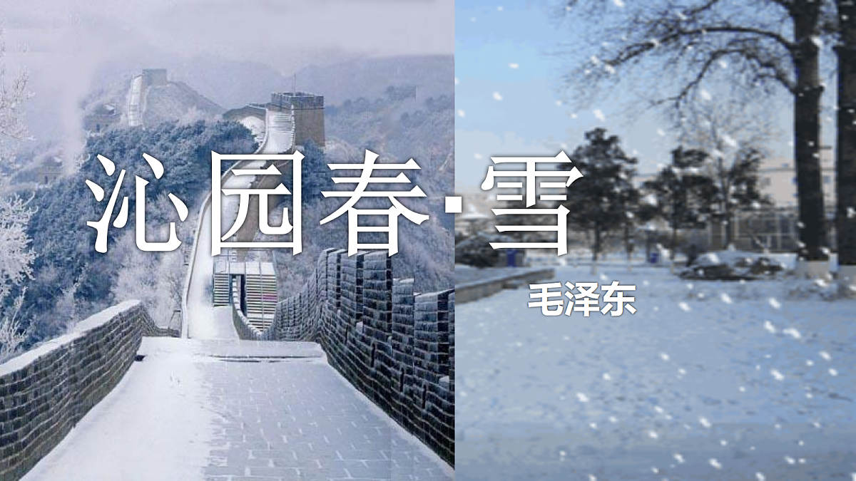 17294689第5页