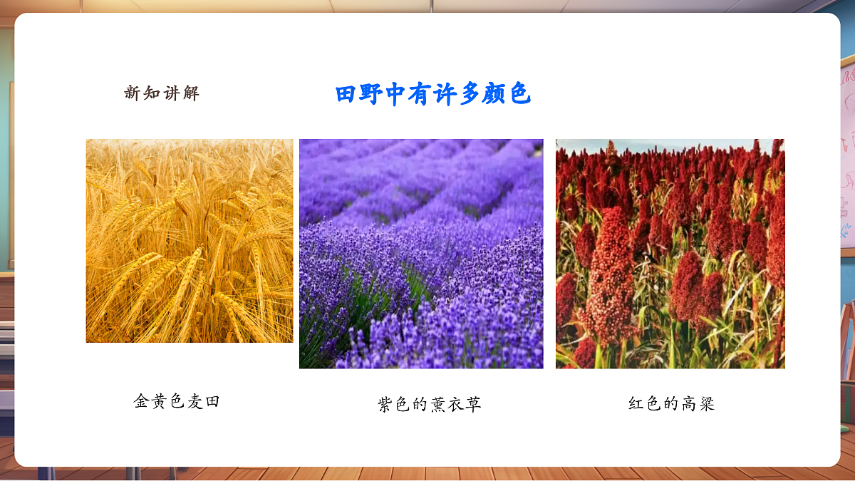 【湘版】美术 一年级上册 第三单元 1 美丽的田野 课时课件第8页