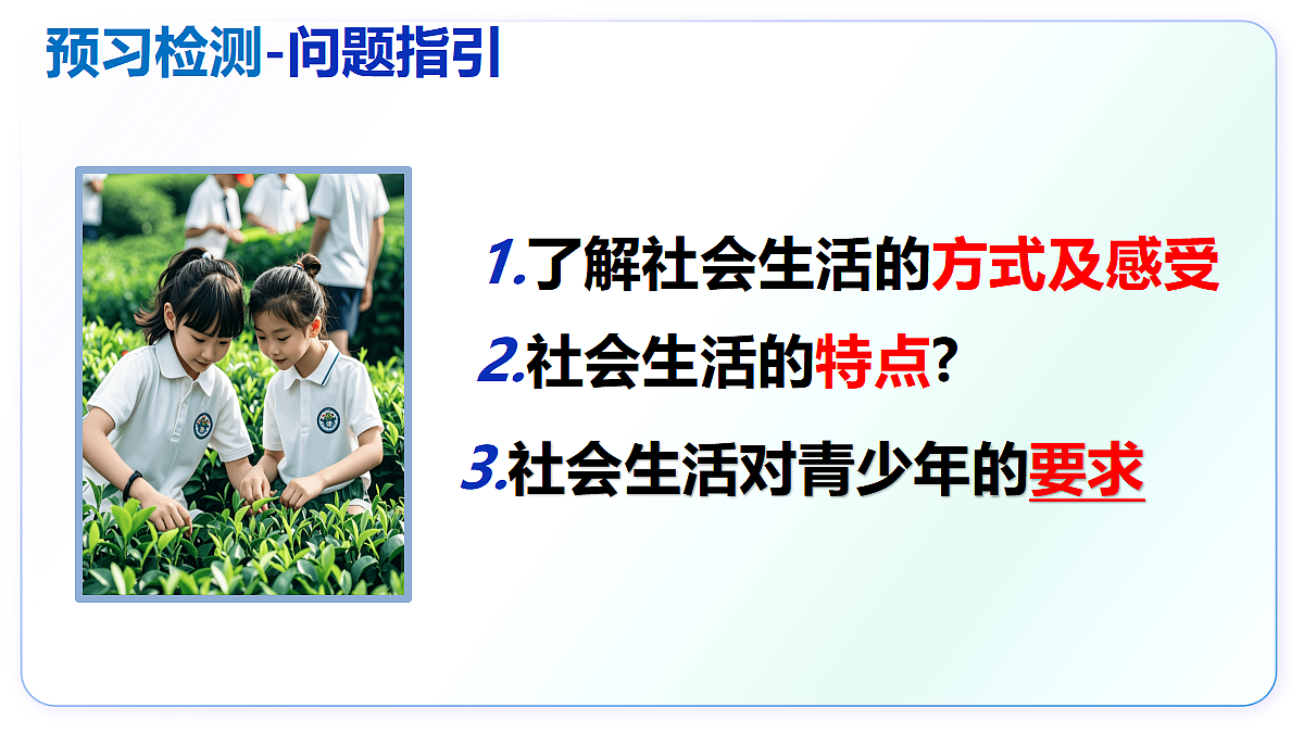 17295376第3页