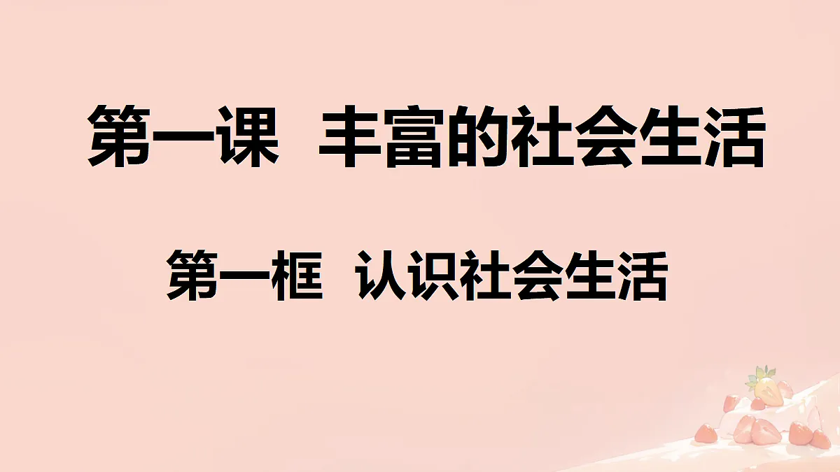 17295378第2页