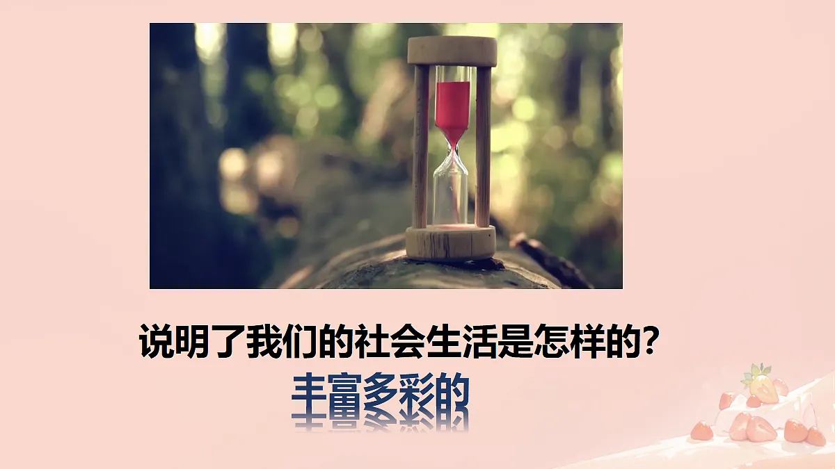 17295378第8页