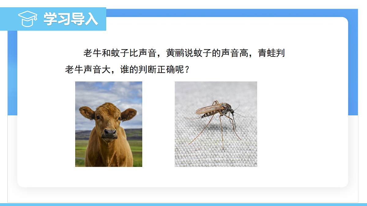 17296076第3页