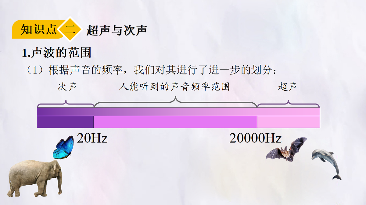 17296080第6页