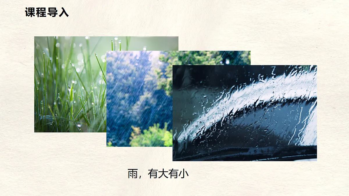 17296099第3页