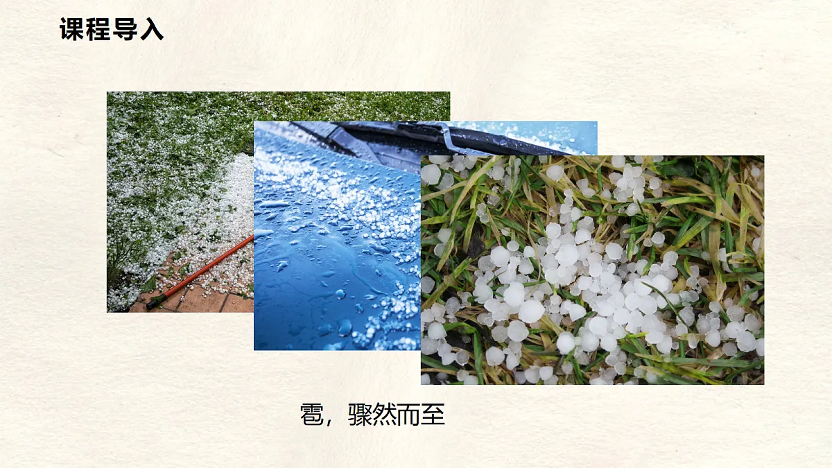 17296099第5页