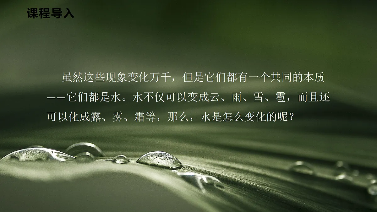 17296099第6页