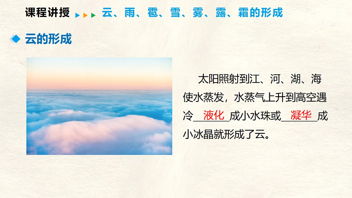 17296099第8页
