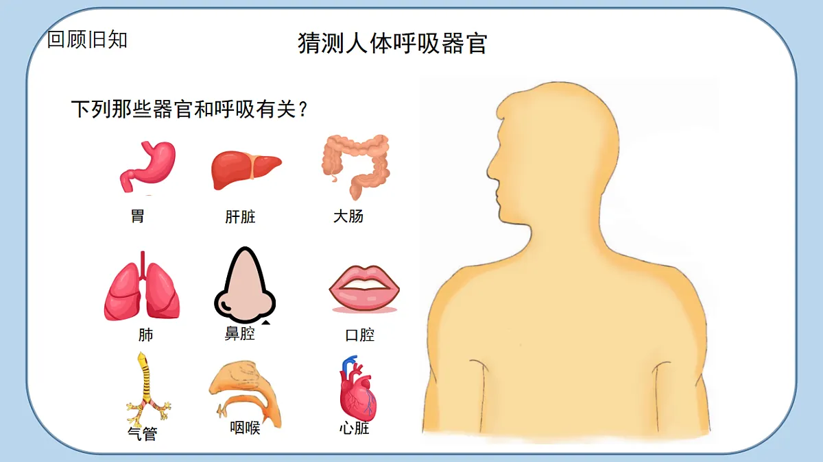 17296712第3页