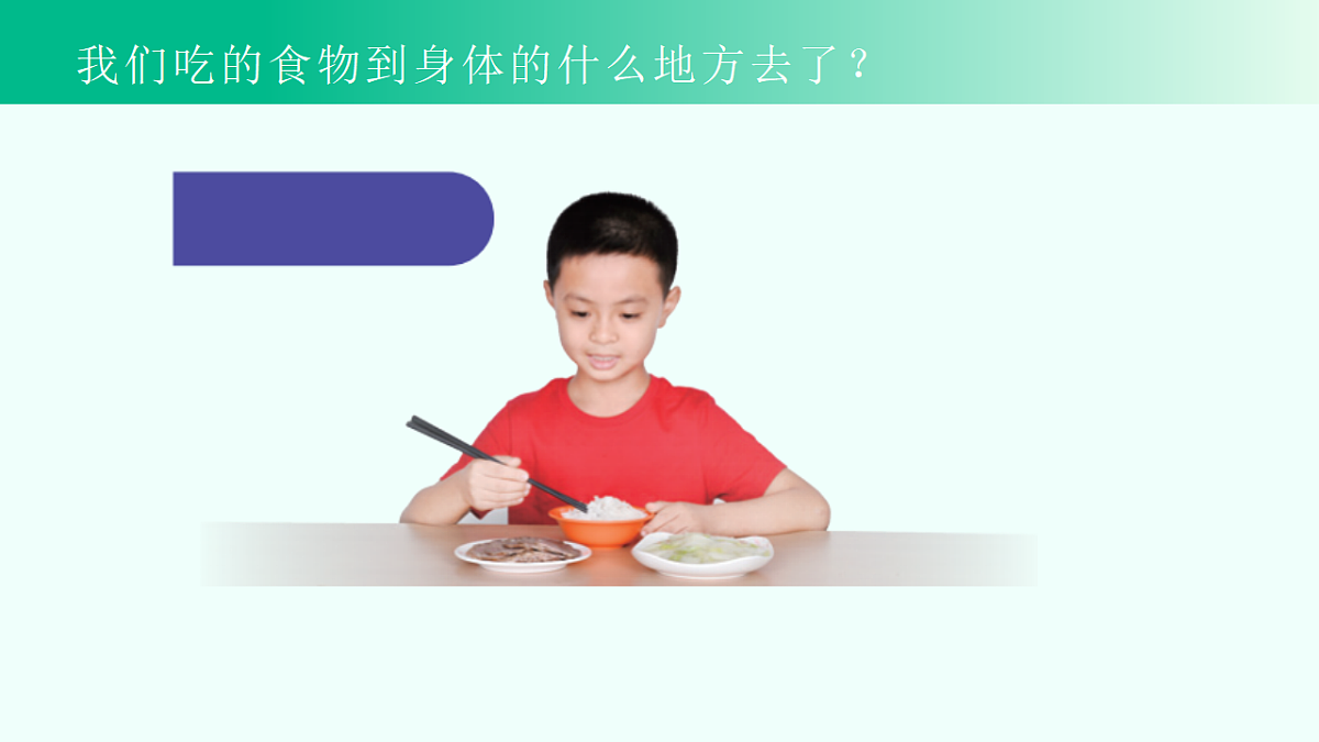 17296716第2页