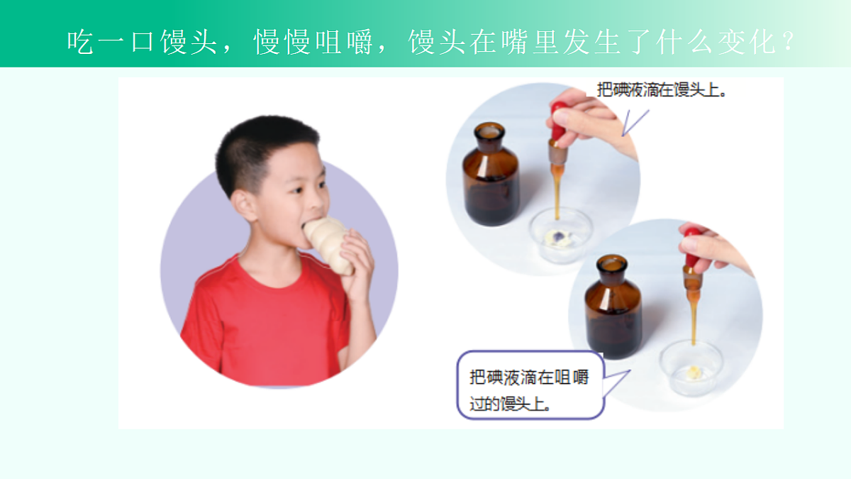 17296716第5页