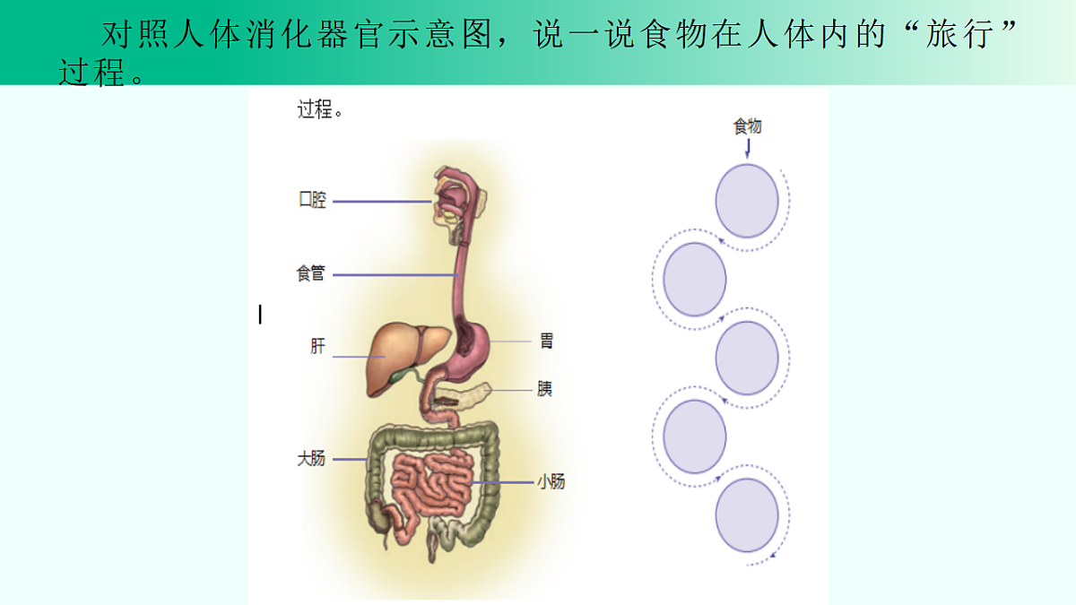 17296716第6页