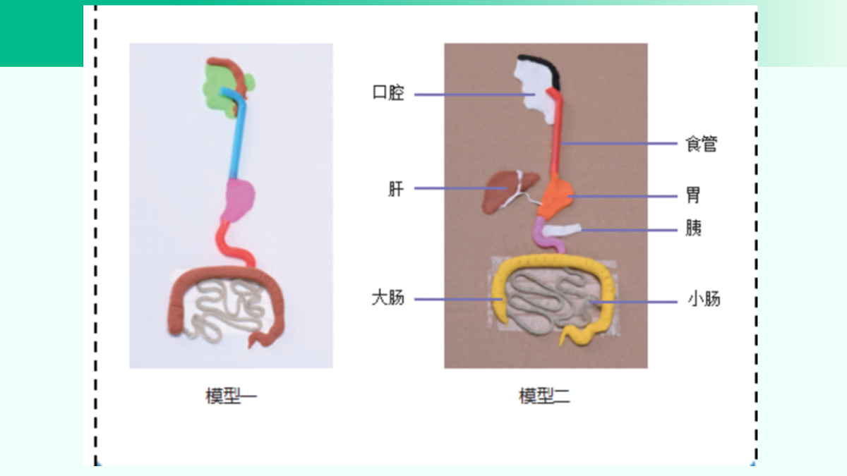 17296716第8页