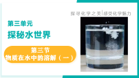 鲁教版（2024）九年级上册（2024）物质在水中的溶解教课内容课件ppt