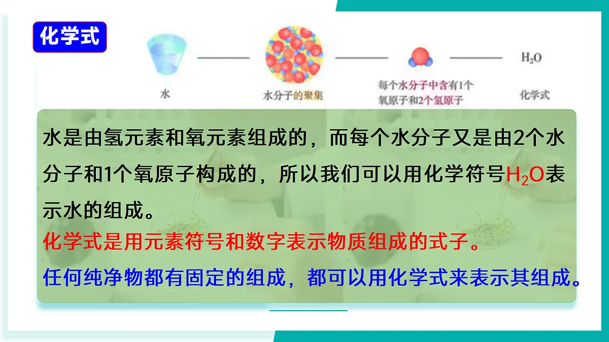 17296774第5页
