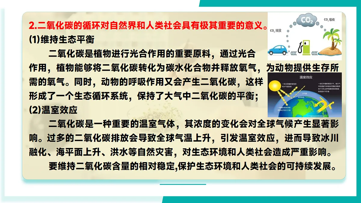 17296778第7页