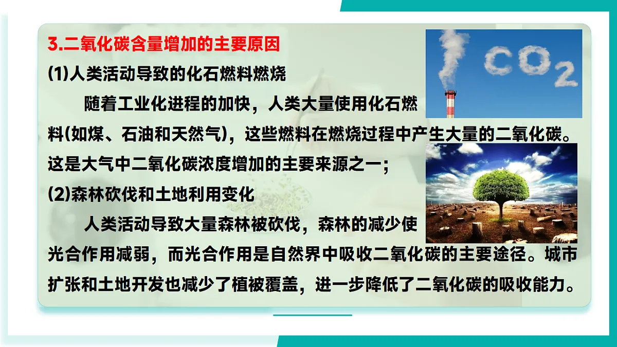 17296778第8页