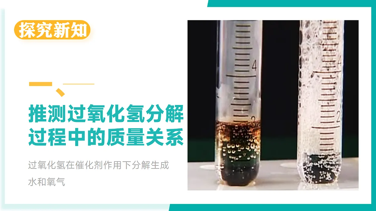 17296782第4页