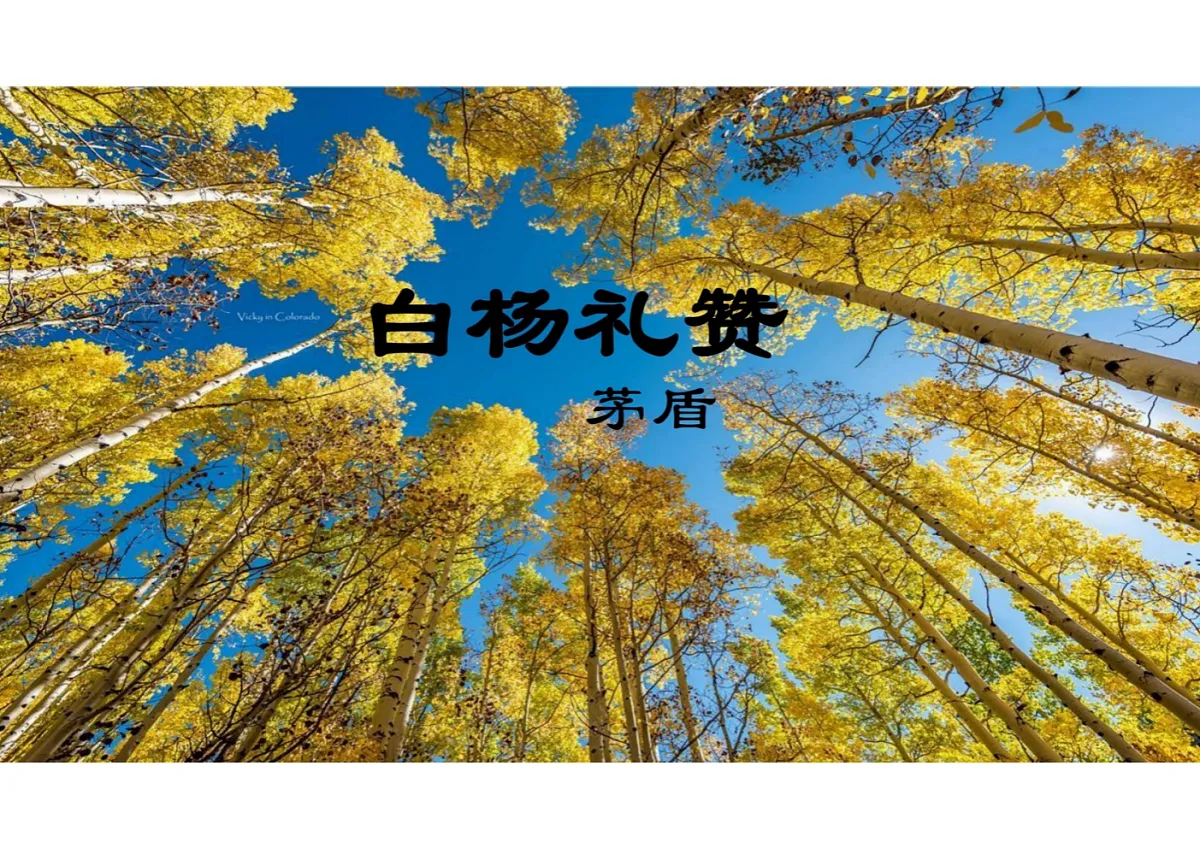 17297978第1页